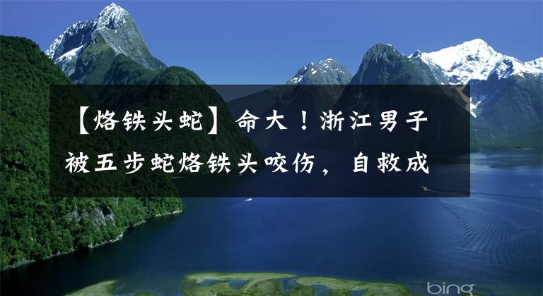 【烙铁头蛇】命大！浙江男子被五步蛇烙铁头咬伤，自救成功，它的毒性有多强？