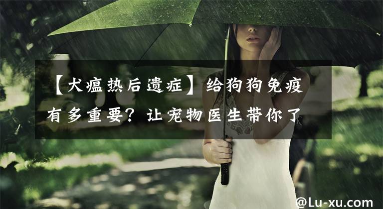 【犬瘟热后遗症】给狗狗免疫有多重要？让宠物医生带你了解传染病-“犬瘟热”