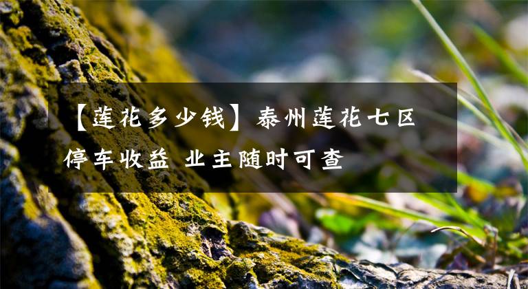 【莲花多少钱】泰州莲花七区停车收益 业主随时可查