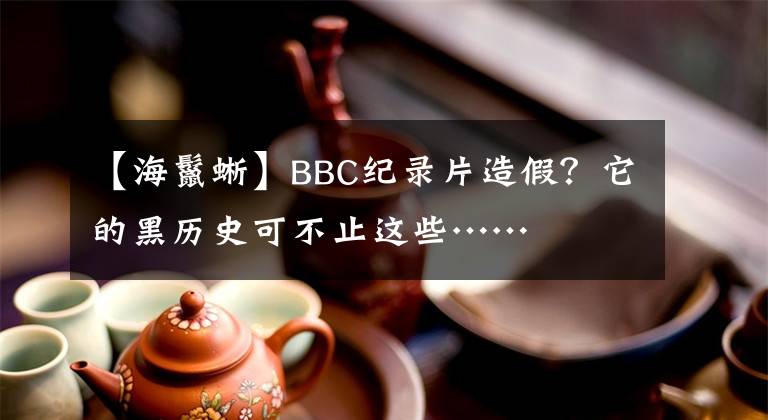 【海鬣蜥】BBC纪录片造假？它的黑历史可不止这些……
