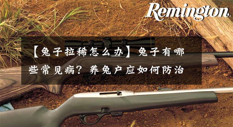 【兔子拉稀怎么办】兔子有哪些常见病？养兔户应如何防治？