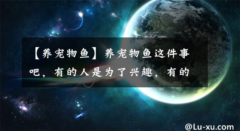 【养宠物鱼】养宠物鱼这件事吧，有的人是为了兴趣，有的人是为了招财，您呢？