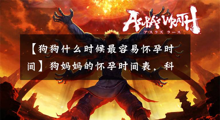【狗狗什么时候最容易怀孕时间】狗妈妈的怀孕时间表，科普一下