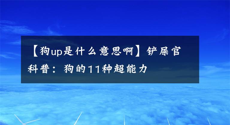 【狗up是什么意思啊】铲屎官科普：狗的11种超能力