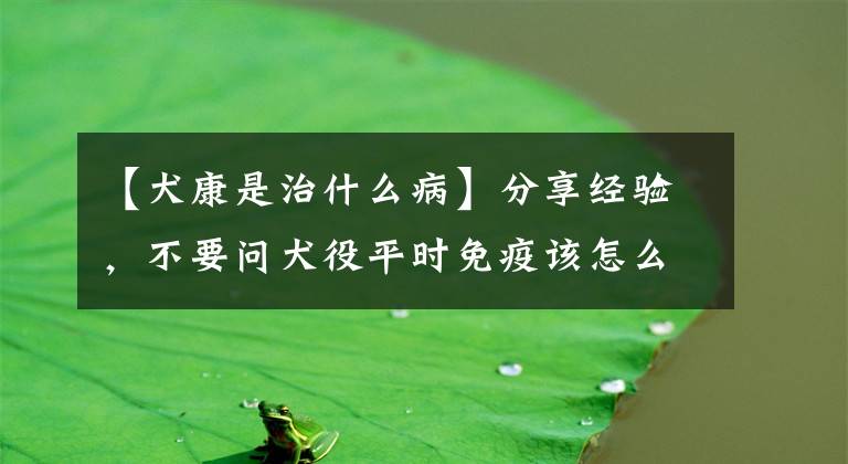 【犬康是治什么病】分享经验，不要问犬役平时免疫该怎么治疗！