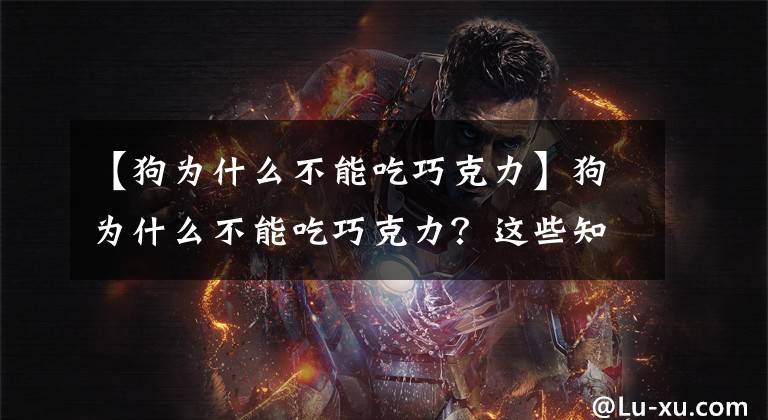 【狗为什么不能吃巧克力】狗为什么不能吃巧克力？这些知识养宠的人早知道才好