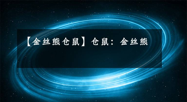 【金丝熊仓鼠】仓鼠：金丝熊