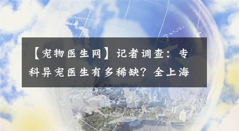 【宠物医生网】记者调查：专科异宠医生有多稀缺？全上海数量不足10位