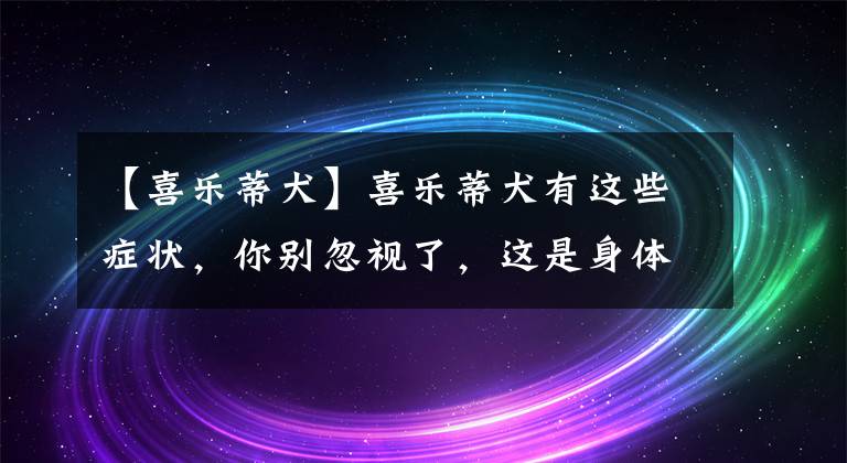 【喜乐蒂犬】喜乐蒂犬有这些症状，你别忽视了，这是身体有虫的信号
