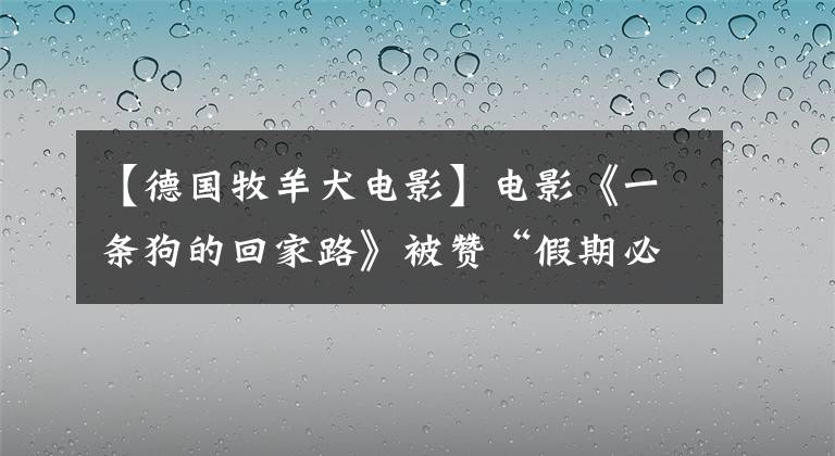 【德国牧羊犬电影】电影《一条狗的回家路》被赞“假期必看”