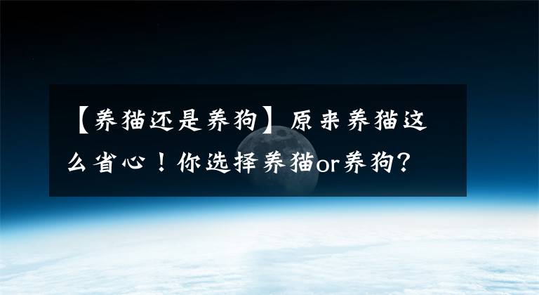 【养猫还是养狗】原来养猫这么省心！你选择养猫or养狗？