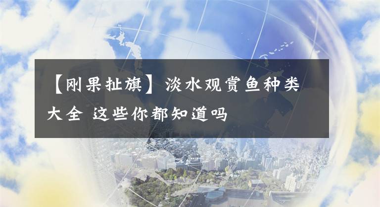 【刚果扯旗】淡水观赏鱼种类大全 这些你都知道吗