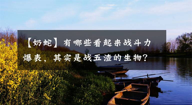 【奶蛇】有哪些看起来战斗力爆表，其实是战五渣的生物？