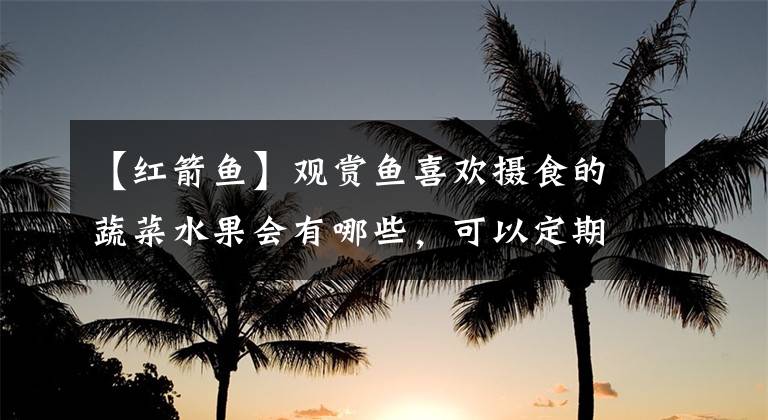 【红箭鱼】观赏鱼喜欢摄食的蔬菜水果会有哪些，可以定期投喂吗？
