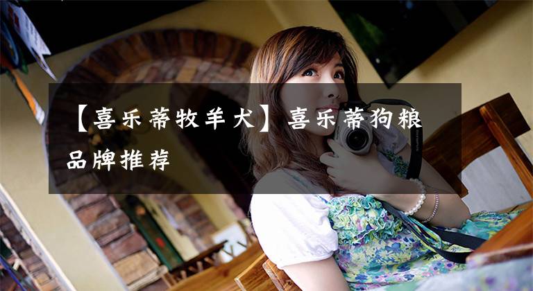 【喜乐蒂牧羊犬】喜乐蒂狗粮品牌推荐