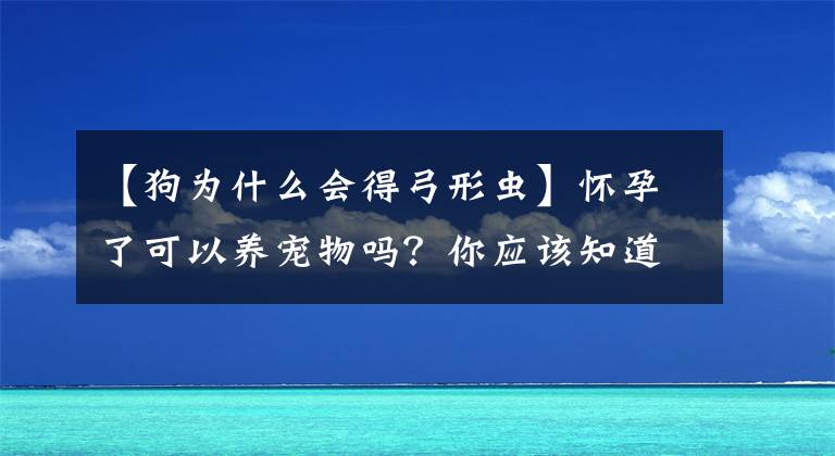 【狗为什么会得弓形虫】怀孕了可以养宠物吗？你应该知道弓形虫的事。