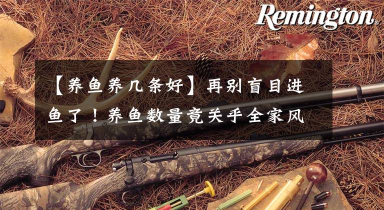 【养鱼养几条好】再别盲目进鱼了！养鱼数量竟关乎全家风水
