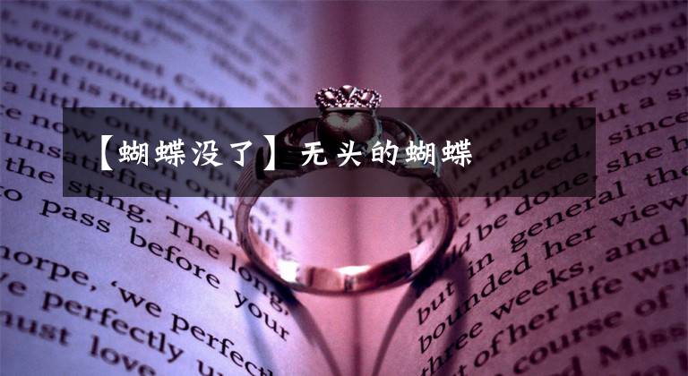 【蝴蝶没了】无头的蝴蝶