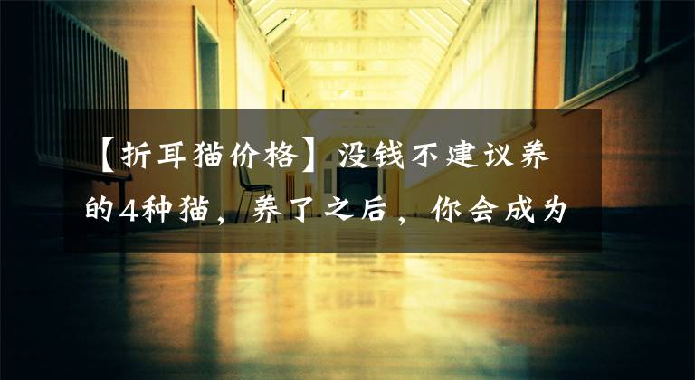 【折耳猫价格】没钱不建议养的4种猫，养了之后，你会成为医院的“常客”