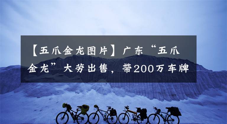 【五爪金龙图片】广东“五爪金龙”大劳出售，带200万车牌没人买，问题在哪？