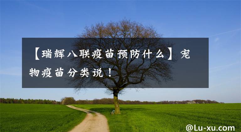 【瑞辉八联疫苗预防什么】宠物疫苗分类说！
