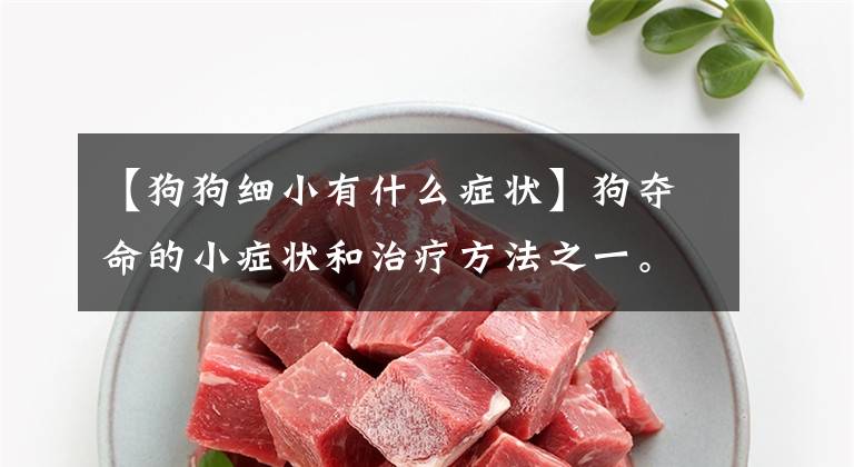 【狗狗细小有什么症状】狗夺命的小症状和治疗方法之一。