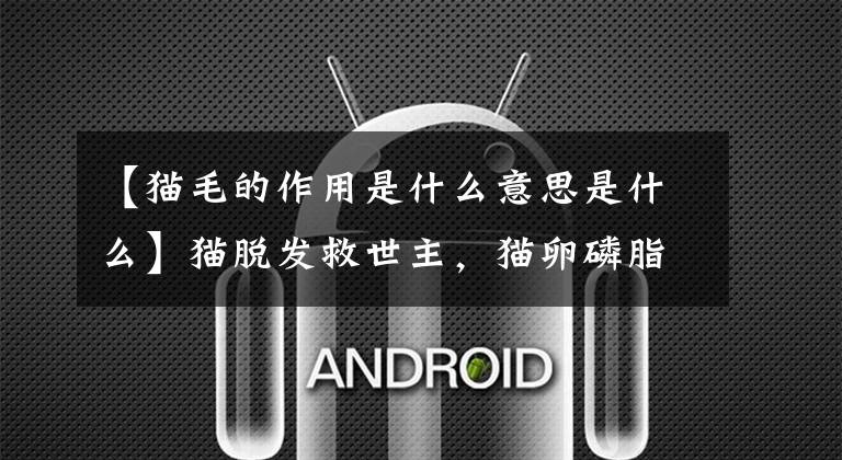 【猫毛的作用是什么意思是什么】猫脱发救世主，猫卵磷脂那么神奇