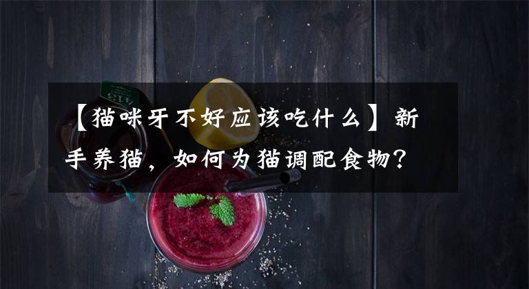 【猫咪牙不好应该吃什么】新手养猫，如何为猫调配食物？
