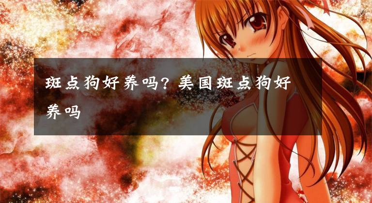 斑点狗好养吗? 美国斑点狗好养吗