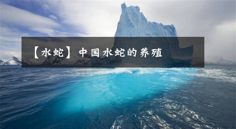 【水蛇】中国水蛇的养殖