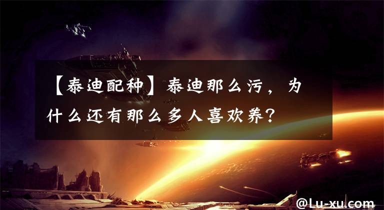 【泰迪配种】泰迪那么污，为什么还有那么多人喜欢养？