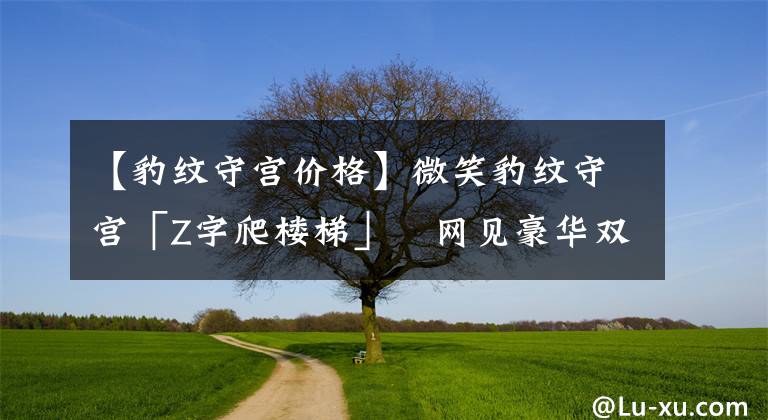 【豹纹守宫价格】微笑豹纹守宫「Z字爬楼梯」　网见豪华双层别墅超羡慕