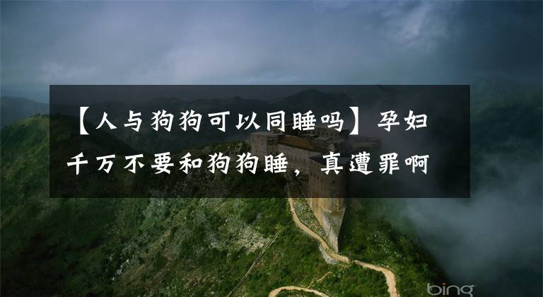 【人与狗狗可以同睡吗】孕妇千万不要和狗狗睡，真遭罪啊，不信你们看