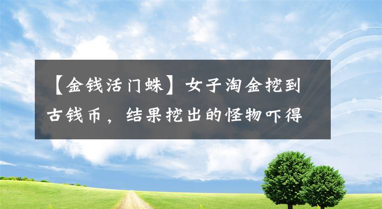 【金钱活门蛛】女子淘金挖到古钱币，结果挖出的怪物吓得她两腿发软