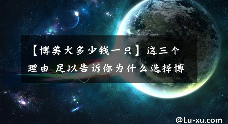 【博美犬多少钱一只】这三个理由 足以告诉你为什么选择博美