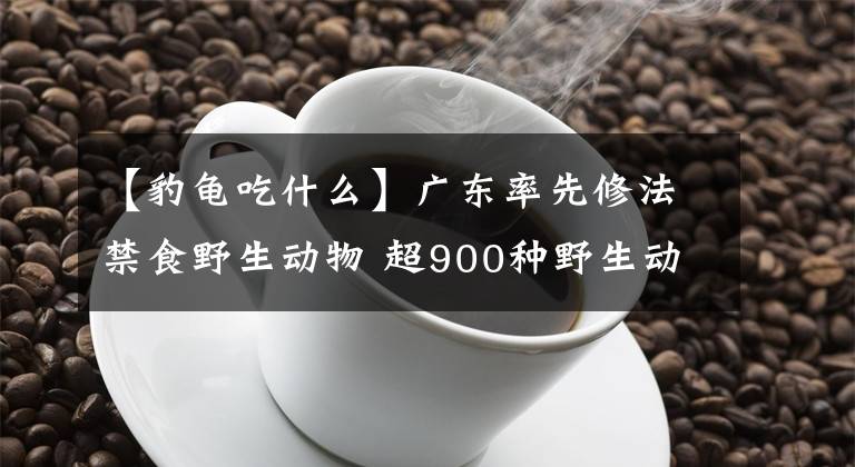 【豹龟吃什么】广东率先修法禁食野生动物 超900种野生动物不能吃
