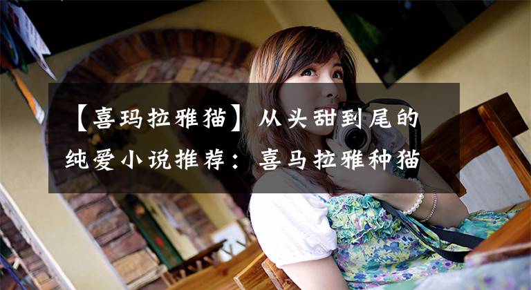 【喜玛拉雅猫】从头甜到尾的纯爱小说推荐：喜马拉雅种猫出品，书荒必看