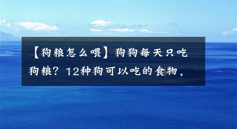 【狗粮怎么喂】狗狗每天只吃狗粮？12种狗可以吃的食物，给狗粮加点料吧
