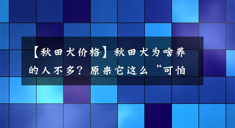 【秋田犬价格】秋田犬为啥养的人不多？原来它这么“可怕”