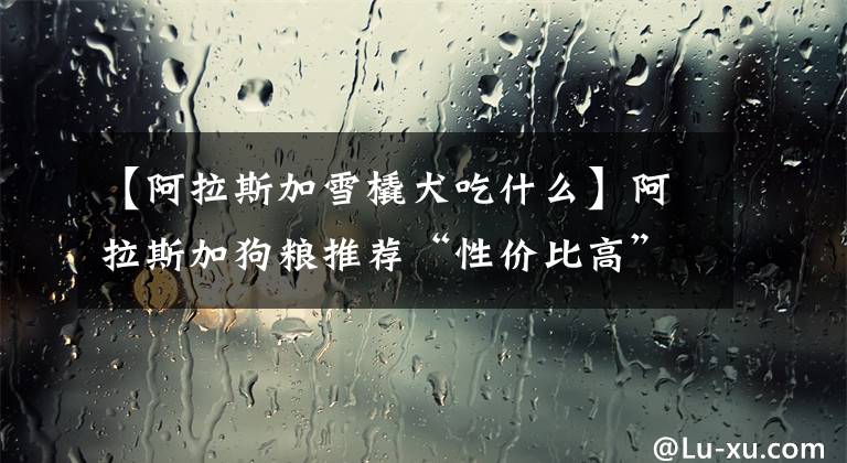 【阿拉斯加雪橇犬吃什么】阿拉斯加狗粮推荐“性价比高”的牌子