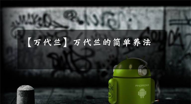 【万代兰】万代兰的简单养法