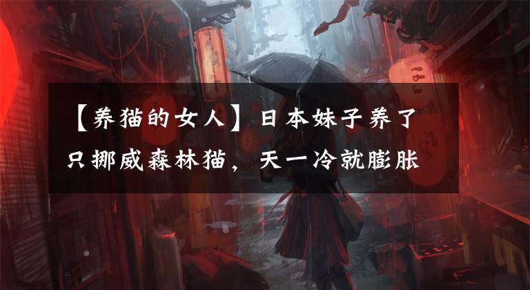 【养猫的女人】日本妹子养了只挪威森林猫，天一冷就膨胀，这气质是仙女没错了