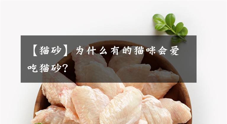【猫砂】为什么有的猫咪会爱吃猫砂？