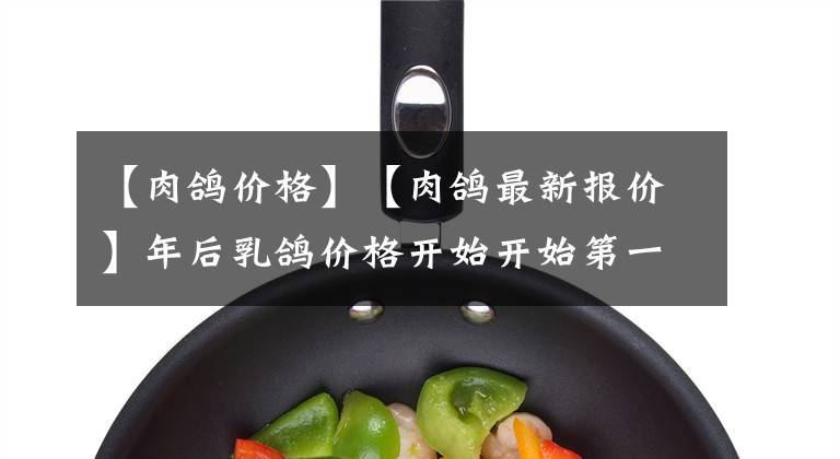【肉鸽价格】【肉鸽最新报价】年后乳鸽价格开始开始第一轮上涨
