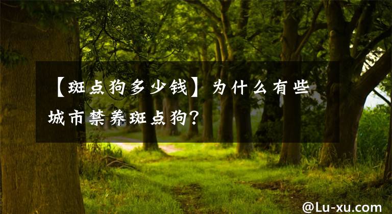 【斑点狗多少钱】为什么有些城市禁养斑点狗？