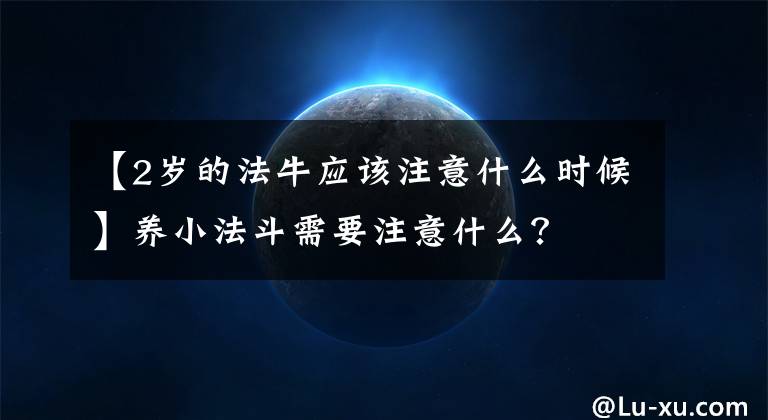 【2岁的法牛应该注意什么时候】养小法斗需要注意什么？