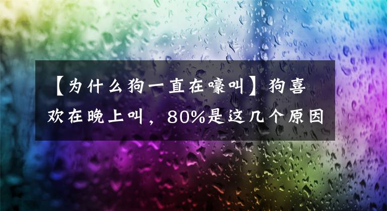 【为什么狗一直在嚎叫】狗喜欢在晚上叫，80%是这几个原因，做完就安静了