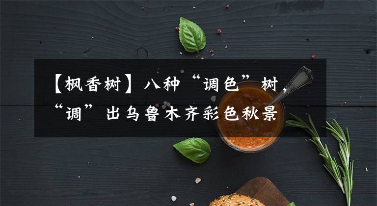 【枫香树】八种“调色”树，“调”出乌鲁木齐彩色秋景