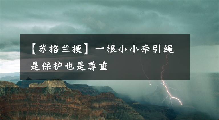【苏格兰梗】一根小小牵引绳 是保护也是尊重