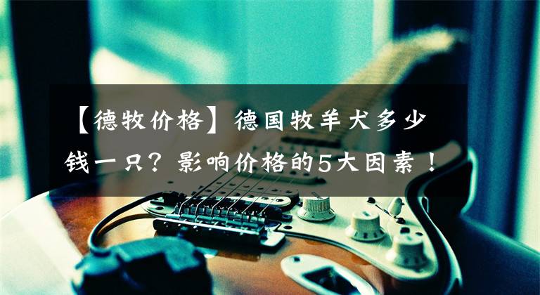 【德牧价格】德国牧羊犬多少钱一只？影响价格的5大因素！